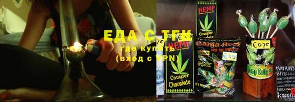 хмурый Каменка