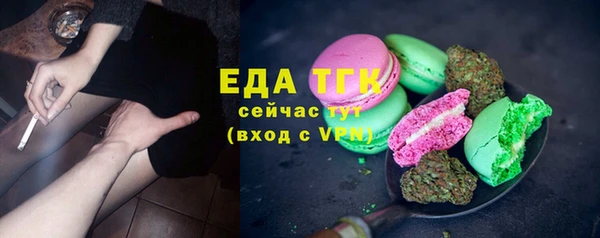 хмурый Каменка