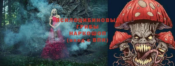 бутират Каменногорск