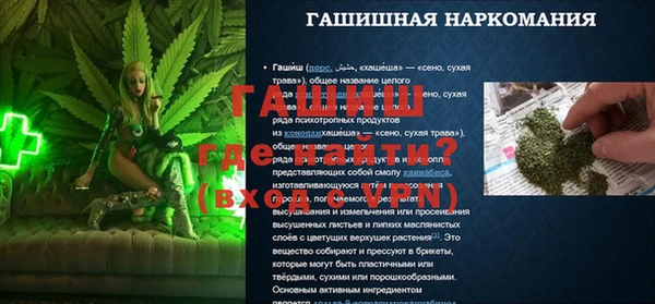 хмурый Каменка