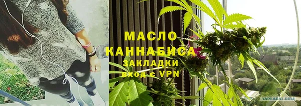 хмурый Каменка