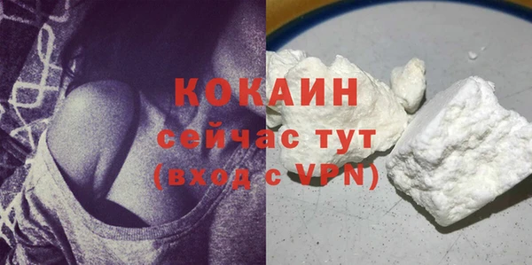 хмурый Каменка