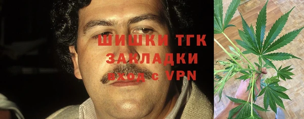 хмурый Каменка