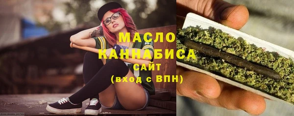 хмурый Каменка