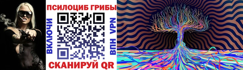 Купить где  Гуково  Галлюциногенные грибы Cubensis 