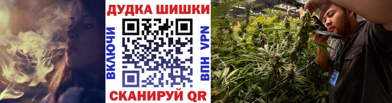 Канабис планчик  Купить где  Гуково 